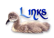 links