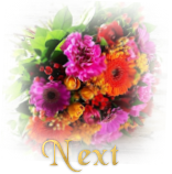 next